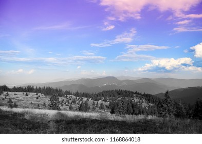 Meadow of Great Fatra Edited