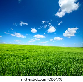 Meadow With Green Grass And Blue Sky With Clouds