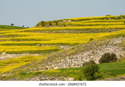 456 Hilltop cultivation Images, Stock Photos & Vectors | Shutterstock