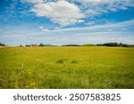 Meadow in Gyllins gardens in Malmo, Sweden