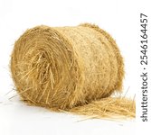 Meadow hay isolated on white background