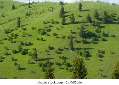 meadow in hill