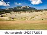 Meadow, hill, forest, clear blue sky and mountain landscape in northwest Wyoming Shoshone National Forest northwest Wyoming, USA