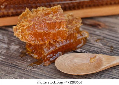 Meadow Honey In The Comb, Organic Products, Farm Production