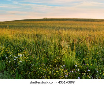 Meadow In Hudson Valley NY In Springtime