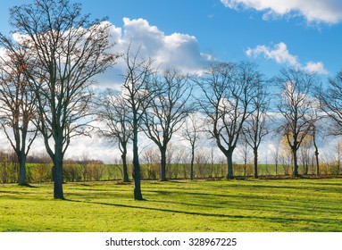 Meadow land with leafless trees on a sunny winter day in North Germany