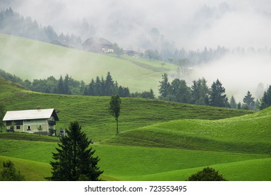 Meadow landscape