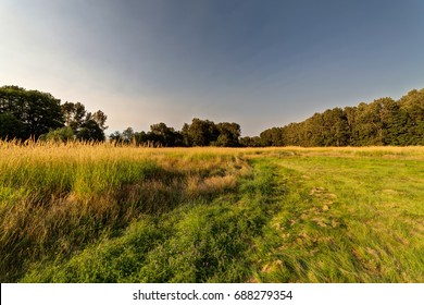 Meadow Landscape On Deas Island, Delta, British Columbia, Canada