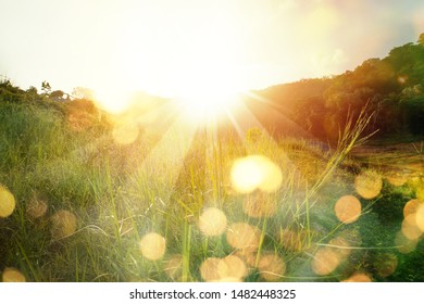 Meadow landscape refreshment with sunray and golden bokeh.Beautiful sunrise in the mountain.