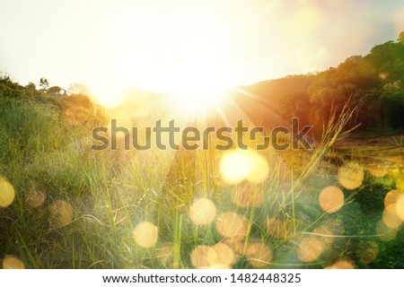 Meadow landscape refreshment with sunray and golden bokeh.
Beautiful sunrise in the mountain.