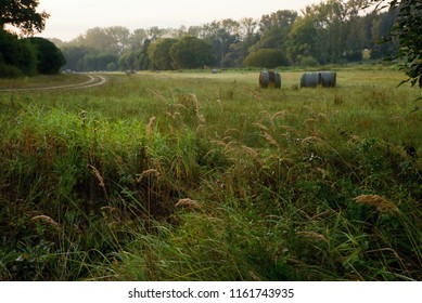 Meadow With Lush Green Vegetation, Hay Bale And Alder Alley On River Bank.