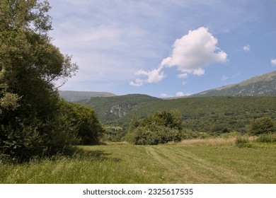 Meadow with the mountain in background