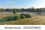 Meadow plain floodplain drone aerial Plane loucky fog morning over nature reserve, Litovelske Pomoravi protected landscape area, endangered species of plants, willows, virgin nature, Europe