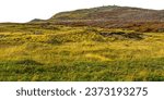 Meadow and small hill forest landscape isolated photo