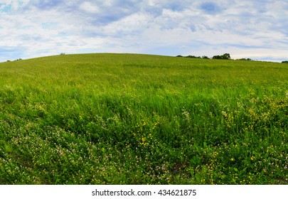 Meadow In Spring At Hudson Valley Farm. 