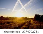 Meadow sunrise ealy morning with jet streaks look like Raman numerals