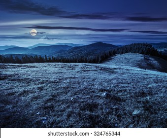 Meadow With Tall Grass On A Mountain Top Near Coniferous Forest At Night In Full Moon Light