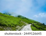 Meadows of Chopta, Uttarakhand. AKA, Mini Switzerland of India