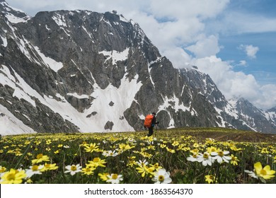 Meadows Of Kashmir Great Lakes - Sonamarg, Kashmir, India.