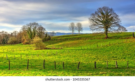 Meadows Near Nava Village, Asturias, Spain