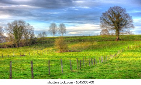 Meadows Near Nava Village, Asturias, Spain