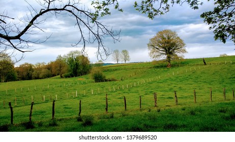 Meadows Near Nava Village, Asturias, Spain
