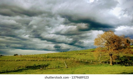 Meadows Near Nava Village, Asturias, Spain
