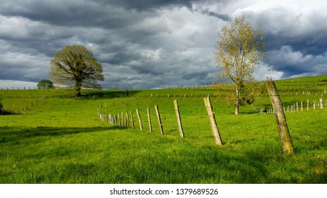 Meadows Near Nava Village, Asturias, Spain
