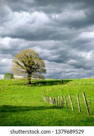 Meadows Near Nava Village, Asturias, Spain
