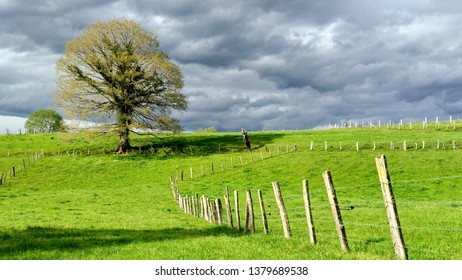 Meadows Near Nava Village, Asturias, Spain
