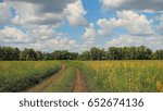 Meadows and a road with clouds