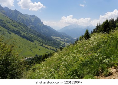 Meadows valleys and mountains from a footpath trail in the forests around Col de la Forclaz France
