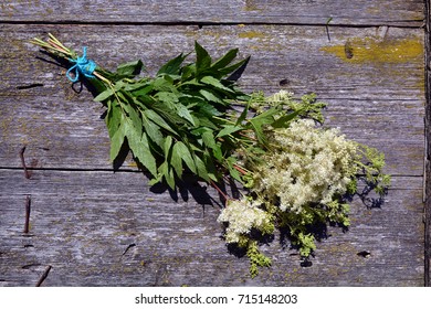 Meadowsweet Filipendula ulmaria medical herbs bunch on old wooden background