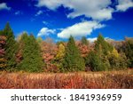 Meadow-to-forest ecotone near Lower Klondike Pond, State Game Land 312, Lackawanna and Wayne Counties. Beautiful view used for postcard and wallpaper and calendar
