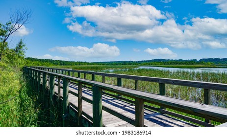 Meaher State Park in Mobile Bay, Alabama - Shutterstock ID 1983186914