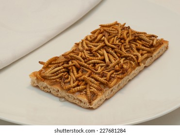 Meal Worms On Toast With Honey.