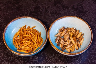 Mealworms and crickets in blue bowls, against a dark background