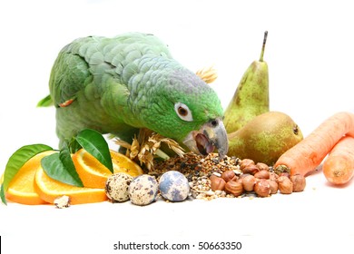 Mealy Amazon parrot (Amazona farinosa) with a fruits and vegetables eating of a white background