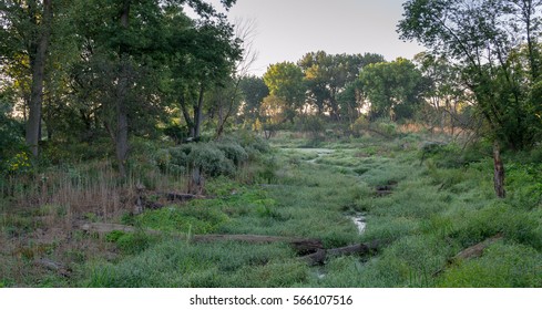 A Meandering Marsh At The Chicago Portage.