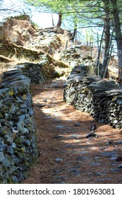 A Meandering Path Covered With Pine Twigs