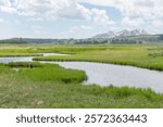 Meandering pools of Glen Creek near the Bunsen Peak trailhead, Yellowstone National Park, Wyoming, USA