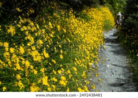 A meandering river cutting through a mountain valley, with lush green meadows and dramatic landscapes.