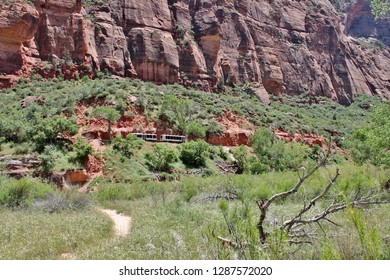 A Meandering Trail And Tourist Tram Passing Through A Zion National Park Utah Canyon