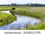 A meandering waterway within Halvergate Marshes, a tranquil landscape within the Norfolk Broads thats been actively drained for centuries, allowing for fertile grazing on the nutrient rich peat soils.