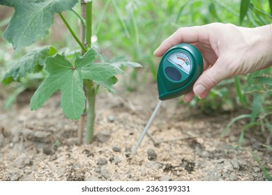 measure the acidity of the field using a soil pH meter