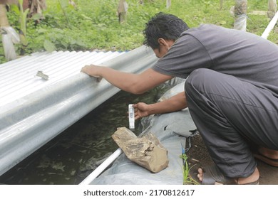 Measure The Nutrient Solution Using A TDS Meter. TDS Meter Is A Tool To Measure The Level Of Nutrient Solution In Water Used As A Growing Medium For Hydroponic Plants.