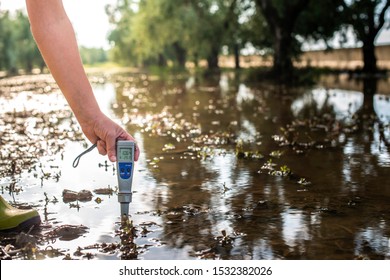 Measure Water Content With Digital Device. Sunrise Over The Water. PH Meter.