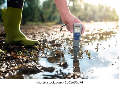 Measure water content with digital device. Sunrise over the water. PH meter.