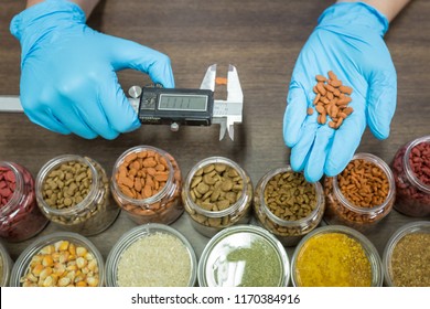 Measuring Cat Food Kibble By Vernier Caliper. Lab Officials Are Pour The Cat Food On Hand. Quality Control From Good Raw Materials To Good Quality Products.