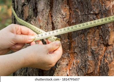 Earth circumference Images, Stock Photos & Vectors | Shutterstock